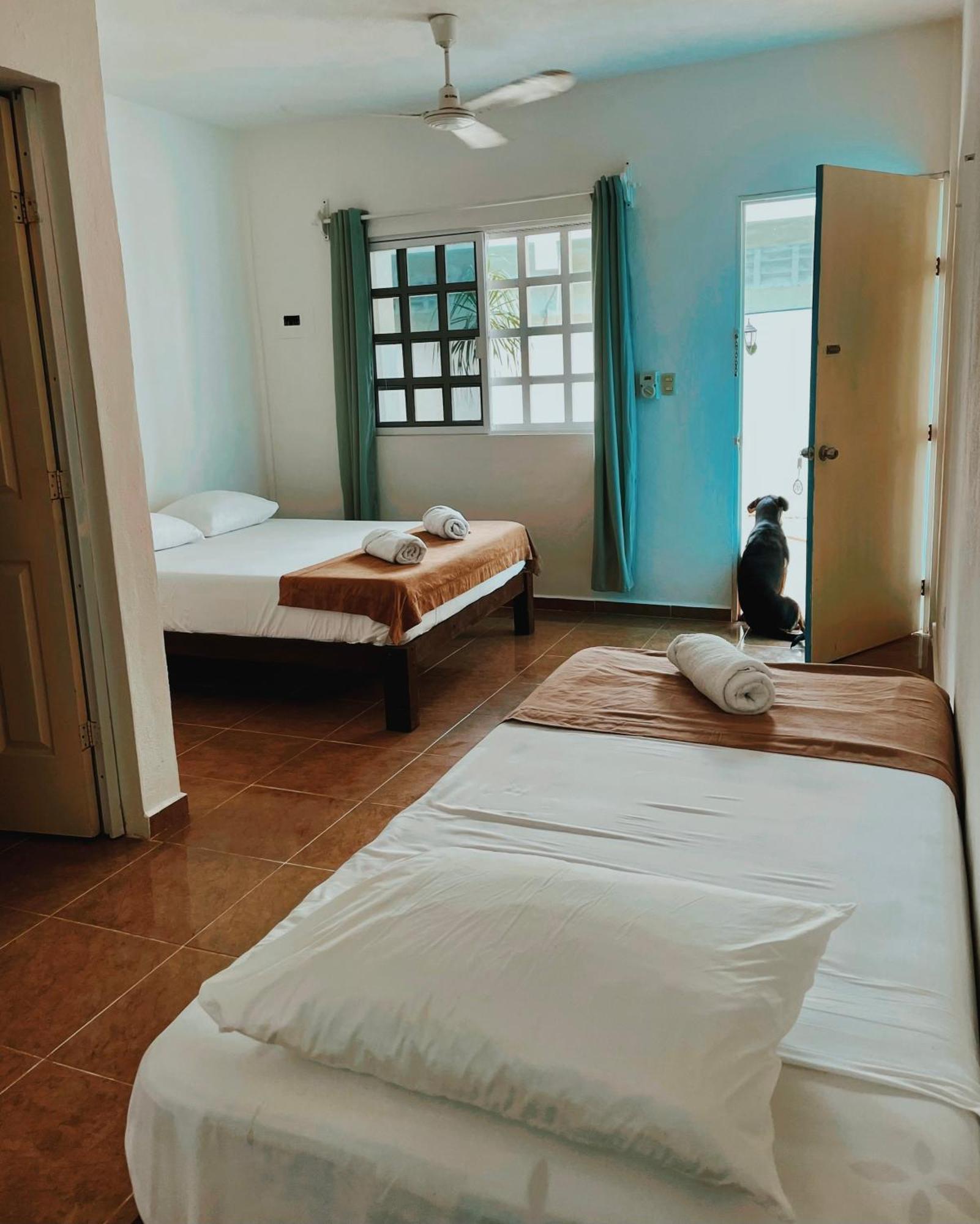 Pachamama Holbox - Hostel & Private Apartments Dış mekan fotoğraf